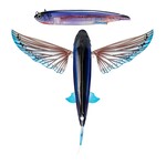 Nomad Design Slipstream Flying Fish 140g Lure