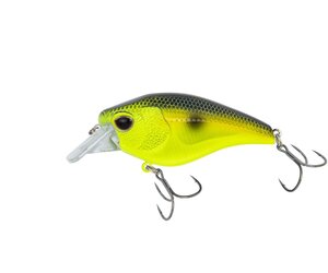 Nomad Design Atlas 55g Square Bill Crank Lure  FLFO - Florida Fishing  Outfitters Tackle Store