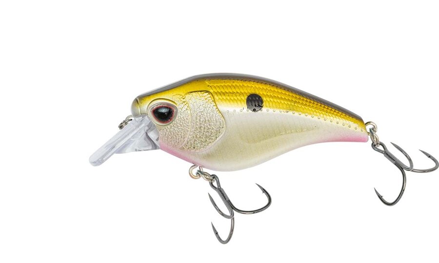 Nomad Design Atlas 55g Square Bill Crank Lure  FLFO - Florida Fishing  Outfitters Tackle Store