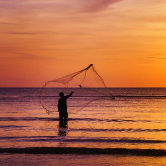 Cast Nets