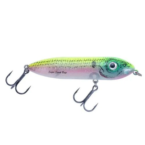 Heddon Chug'n Spook Saltwater Lures – White Water Outfitters