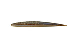 Slayer Sinister Stick Bait 4.25"