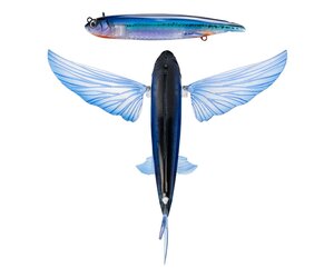 billy pate bluefin fly reel for sale Billy Pate Bluefin Fly Reel