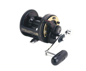 Shimano TLD Lever Drag Conventional Reel | Florida Fishing Outfitters -  Florida Fishing Outfitters Tackle Store