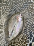 SPFO Fly Fishing Trip Deposit 2025