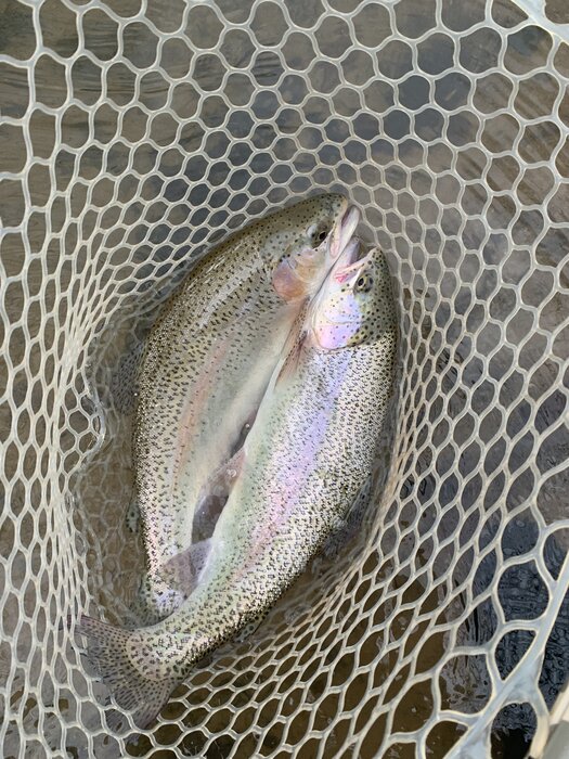 SPFO Fly Fishing Trip Deposit 2025