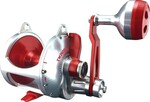 Accurate Valiant Two Speed Conventional Reel