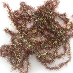Hareline Dubbin Estaz Chenille Grande
