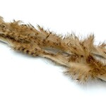 Hareline Dubbin Brown Barred Magnum Rabbit Strips