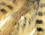 Hareline Dubbin Black Barred Magnum Rabbit Strips
