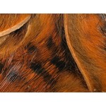 Hareline Dubbin Black Barred Magnum Rabbit Strips
