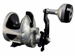 Accurate Tern Star Drag Conventional Reel