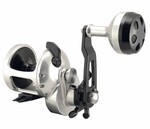 Accurate Tern Star Drag Conventional Reel