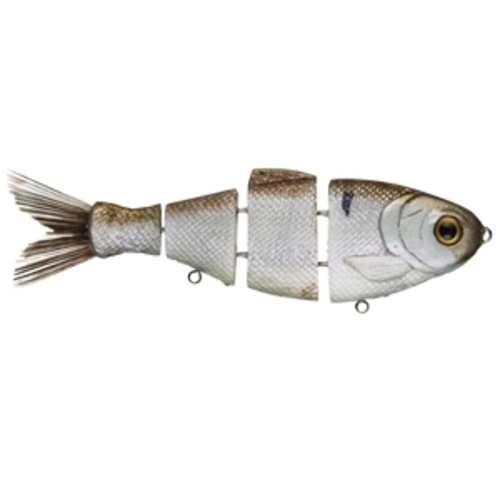 Bull Shad Swimbaits 5"