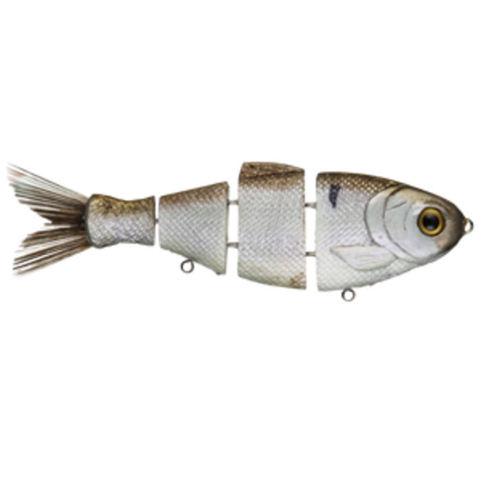 Bull Shad Swimbaits