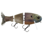 Bull Shad Swimbaits