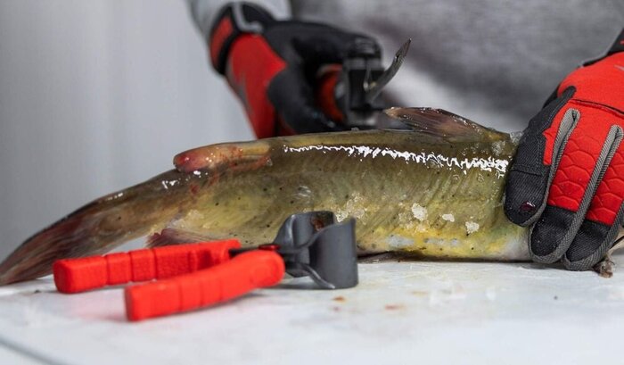 Bubba Blade Skinning Pliers