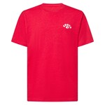 Costa del Mar Crabbin Shades