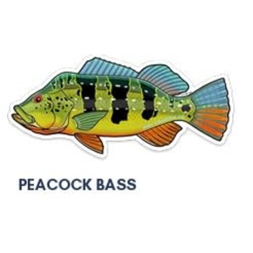 River Collective Co. 6 Inch Decal
