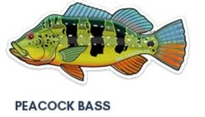 River Collective Co. 6 Inch Decal