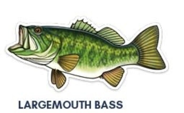 River Collective Co. 6 Inch Decal