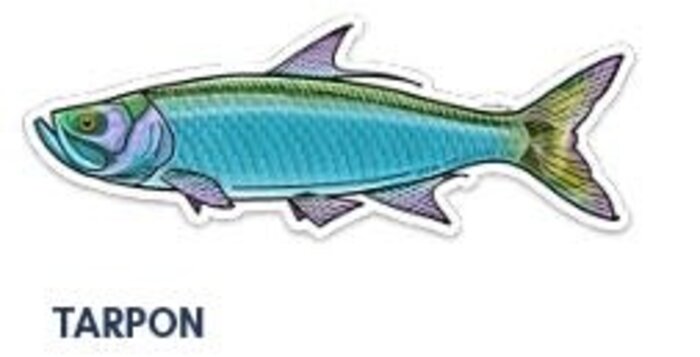 River Collective Co. 6 Inch Decal