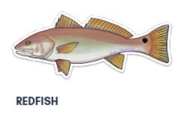 River Collective Co. 6 Inch Decal