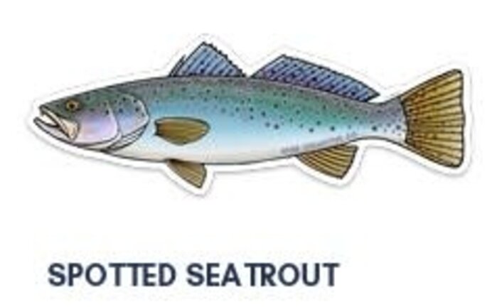 River Collective Co. 6 Inch Decal