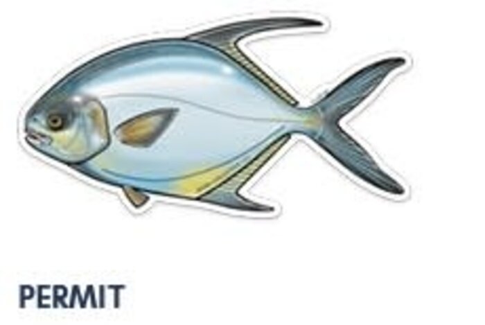 River Collective Co. 6 Inch Decal