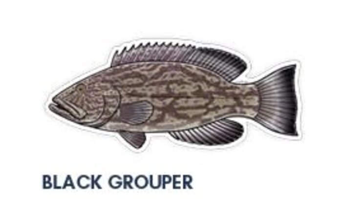 River Collective Co. 6 Inch Decal