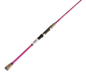 shimano citica or curado Shimano Citica CI201IHG Low Profile Reel at Glen's
