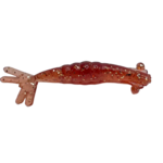 Thumper Shrimp 1.5" 8pk