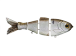 Bull Shad Swimbaits 6" 2k Shad