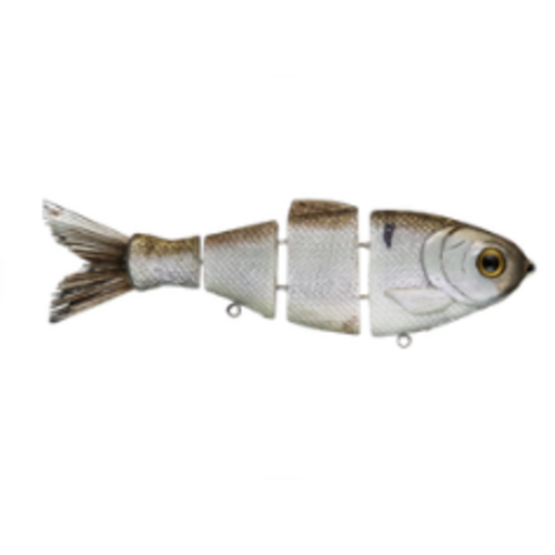 Bull Shad Swimbaits 6" 2k Shad