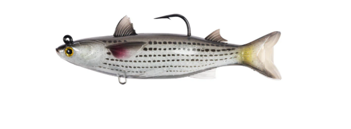 Live Target Mullet Rigged