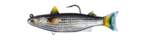 Live Target Mullet Rigged