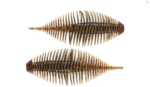 Geecrack Bellows Gill