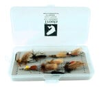 New Phase Clear Slit-Foam Box