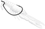 Owner Wide Gap Plus 3x Strong Hook