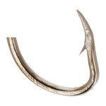 Eagle Claw Offset Long Shank Hook, 2x Long