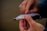 6th Sense Fishing Treble Head Line-Through Jig Head