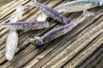 6th Sense Fishing Finesse Swimbait Jig Head