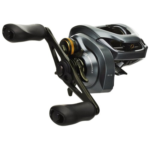 Shimano Curado DC 200 Baitcasting Reel