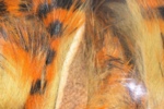 Hareline Dubbin Magnum Tiger Barred Strips