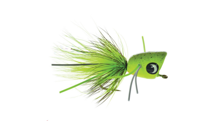 Umpqua Bass Popper Fly