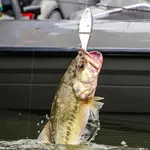 Bucca Brand Baby Trick Shad