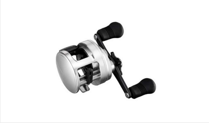 Shimano Calcutta D Baitcasting Reel