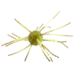 Strike King Mag Tumbleweed Salted