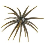 Berkley PowerBait MaxScent 'Moeba