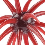Berkley PowerBait MaxScent 'Moeba